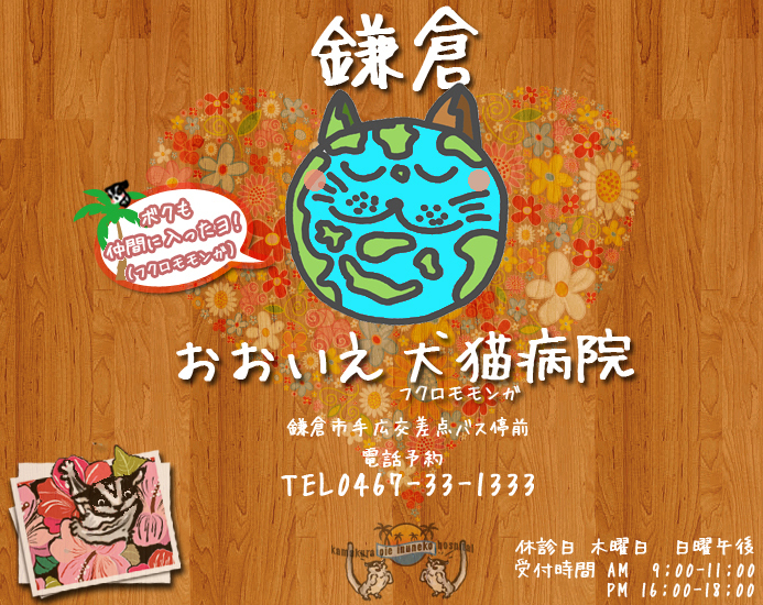 おおいえ犬猫病院