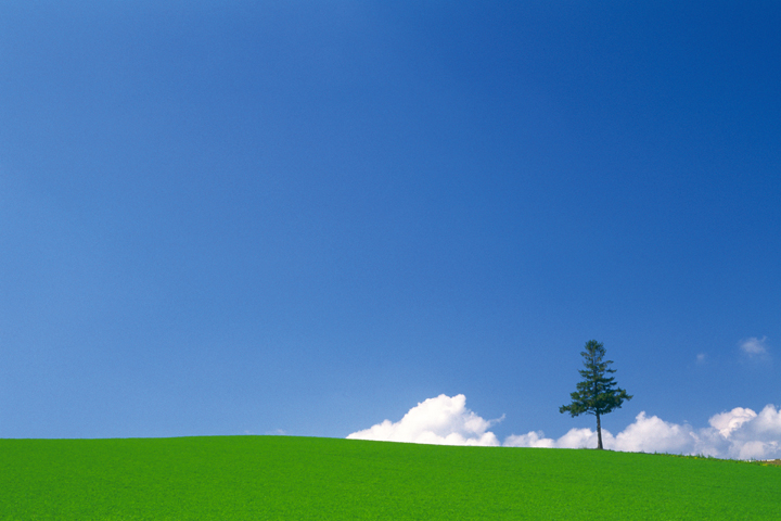 袋原どうぶつクリニック・仙台動物医科学研究所