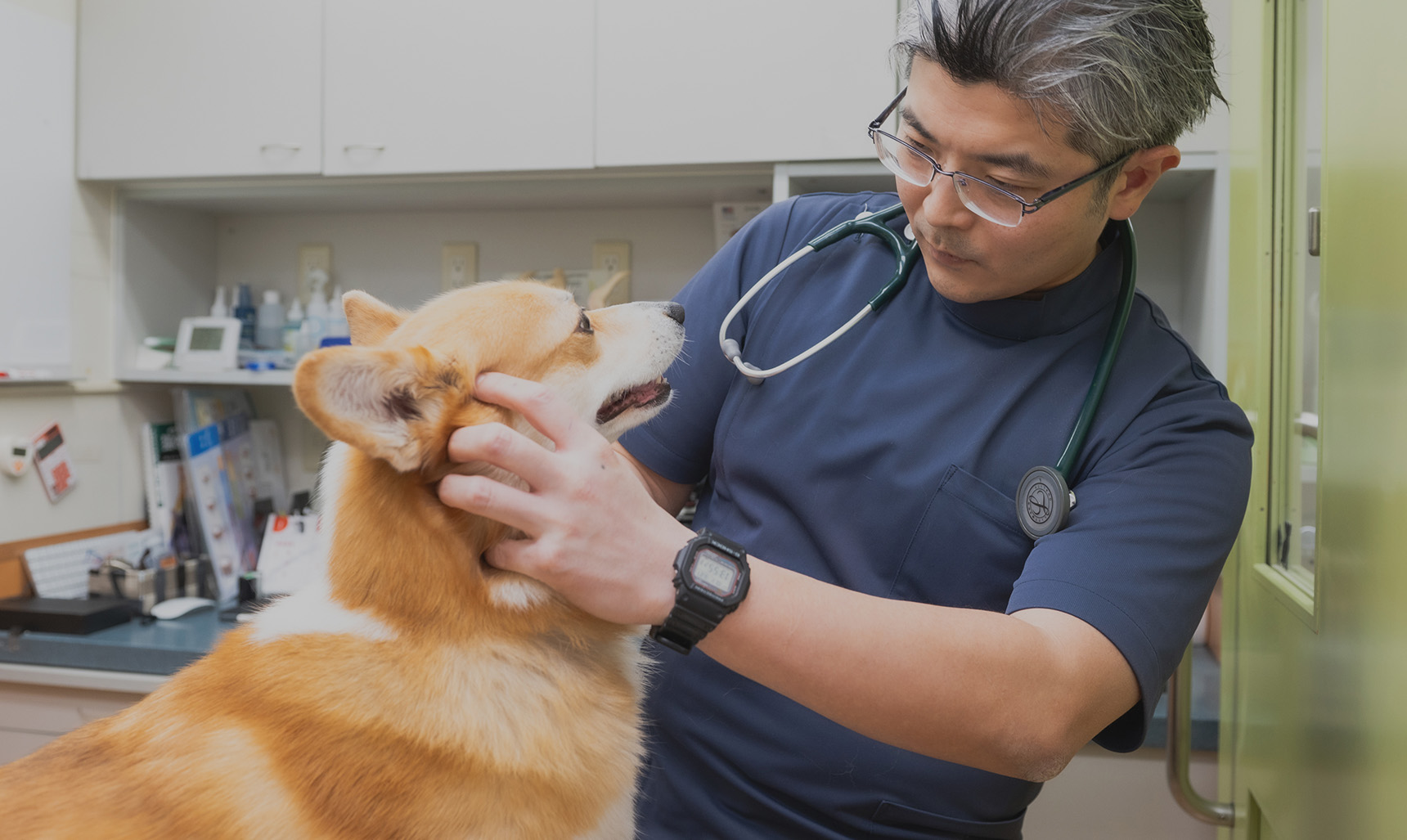 ニュートン動物病院