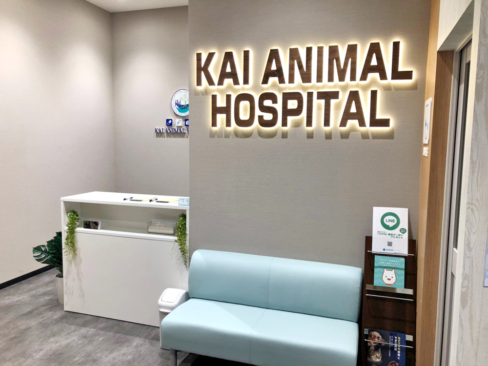 海動物病院　室蘭往診所