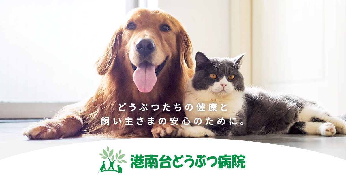 港南台どうぶつ病院