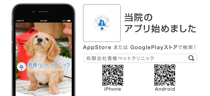 香椎ペットクリニック