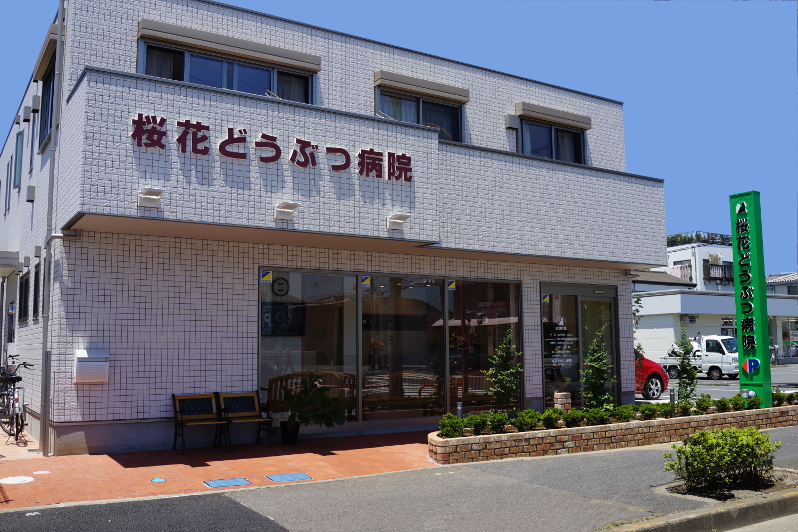 桜花どうぶつ病院