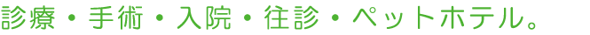 八丈動物病院
