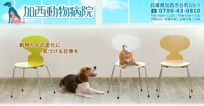 加西動物病院