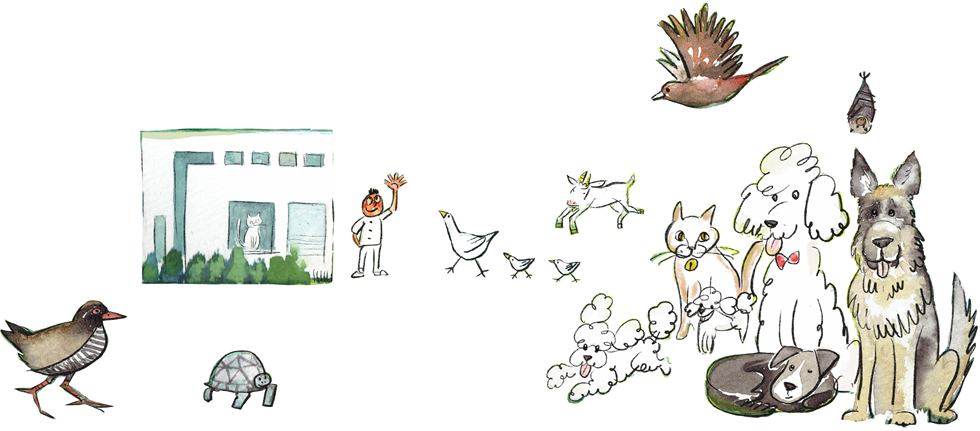 ヤンバル動物診療所