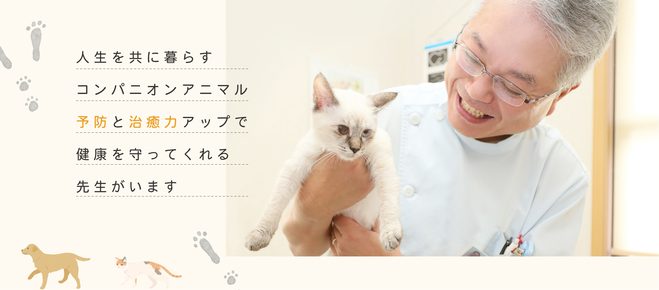 ちかむね動物病院