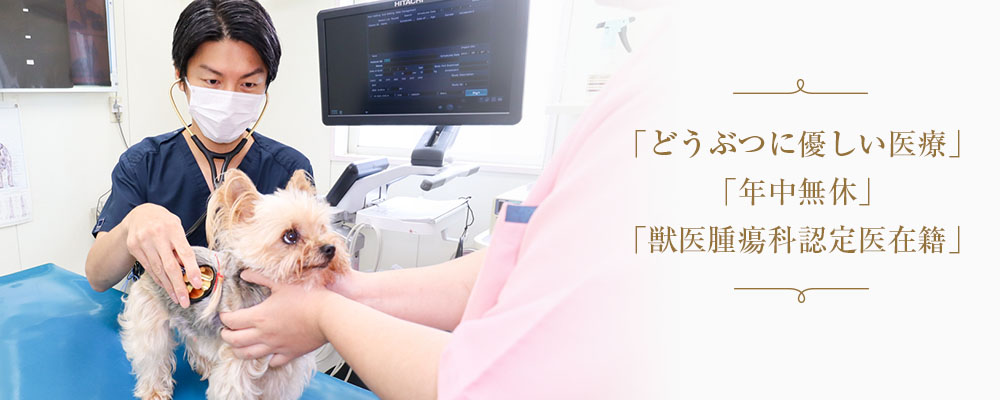 国立中央どうぶつ病院