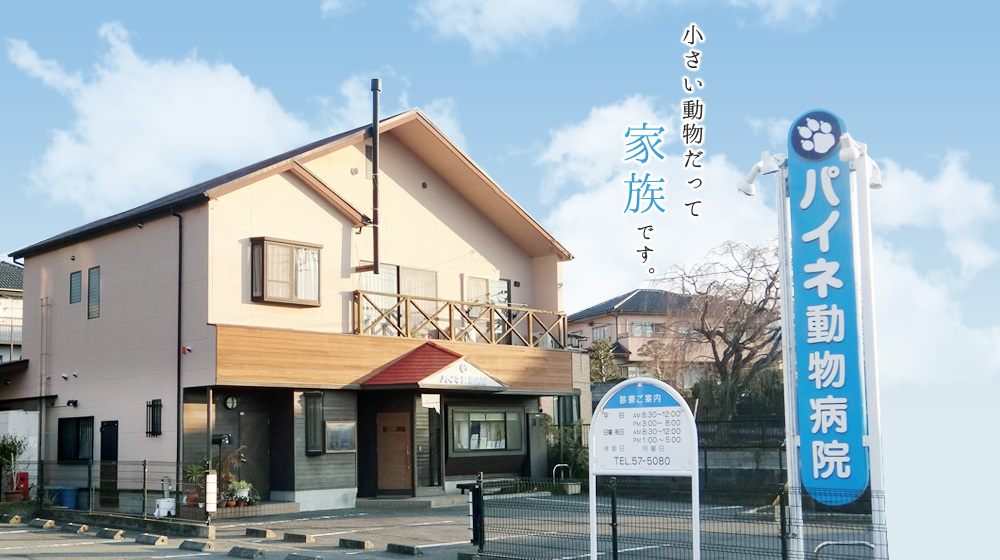 パイネ動物病院