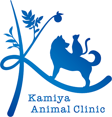 かみや動物クリニック