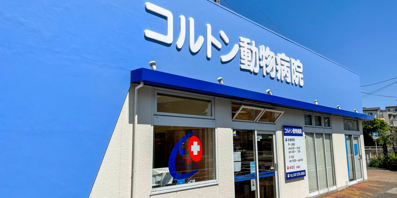 コルトン動物病院