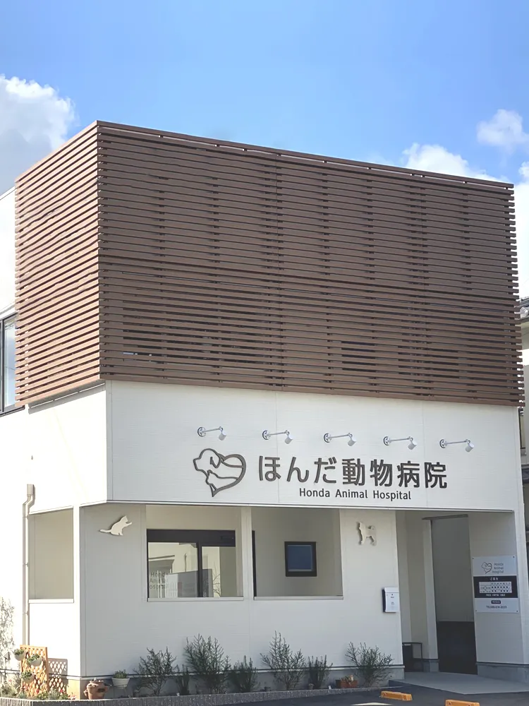 ほんだ動物病院