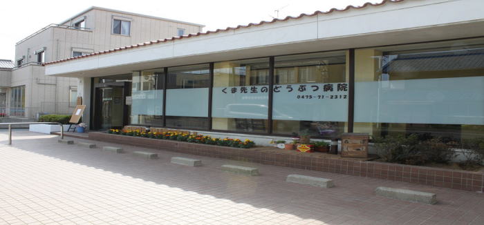 くま先生のどうぶつ病院