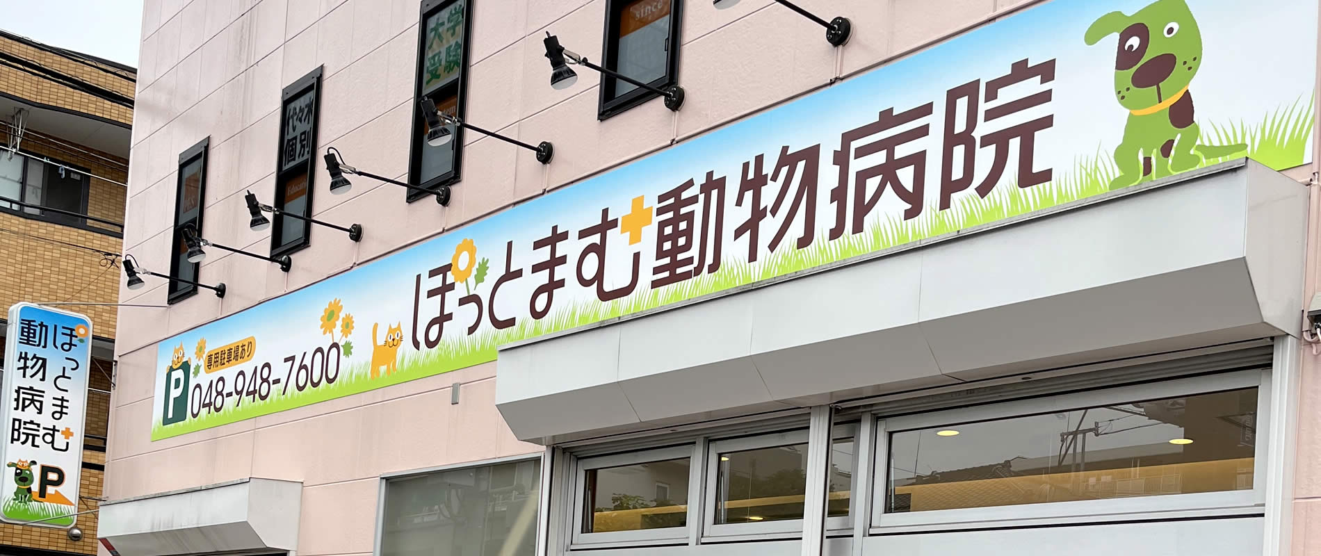 ぽっとまむ動物病院