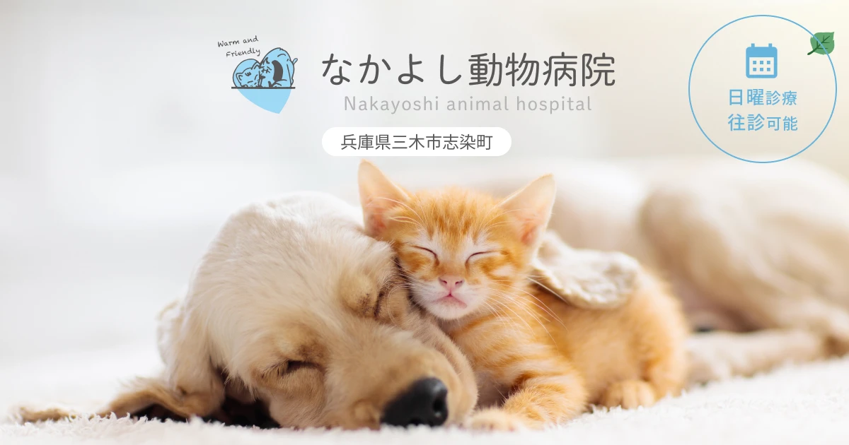 なかよし動物病院