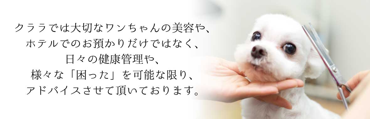 ペットケア&amp;ホテル...