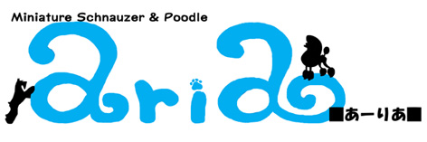 犬の美容室 aria ■あーりあ■