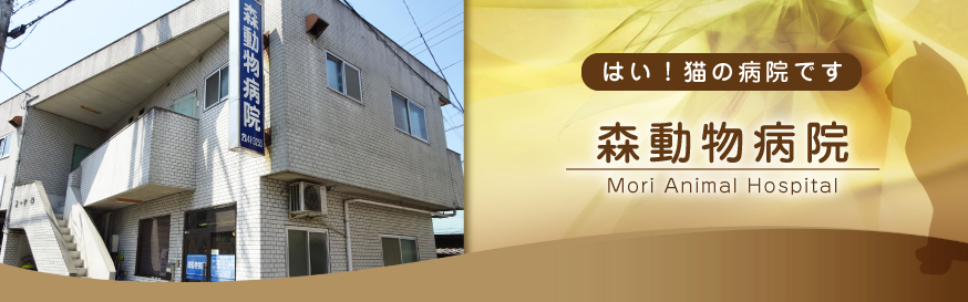 森動物病院