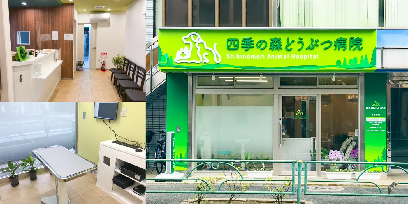 四季の森どうぶつ病院