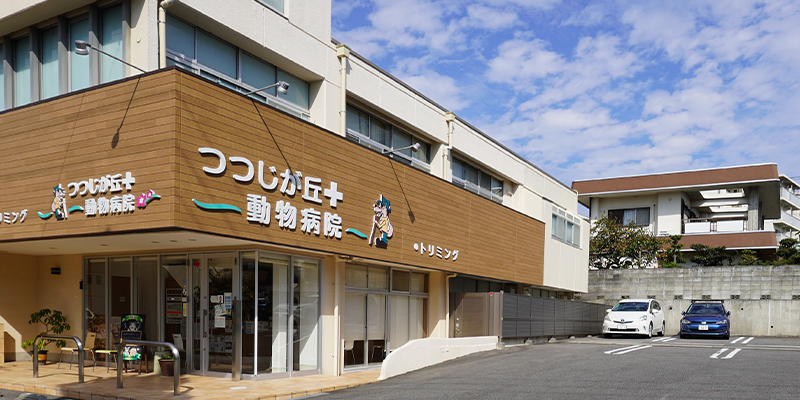 つつじが丘動物病院