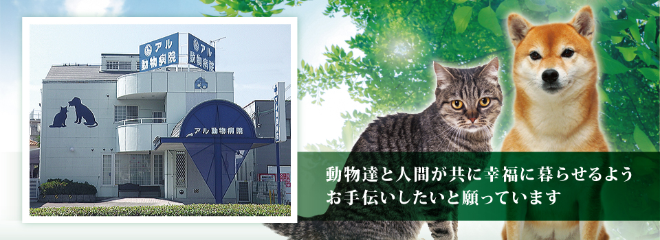 アル動物病院