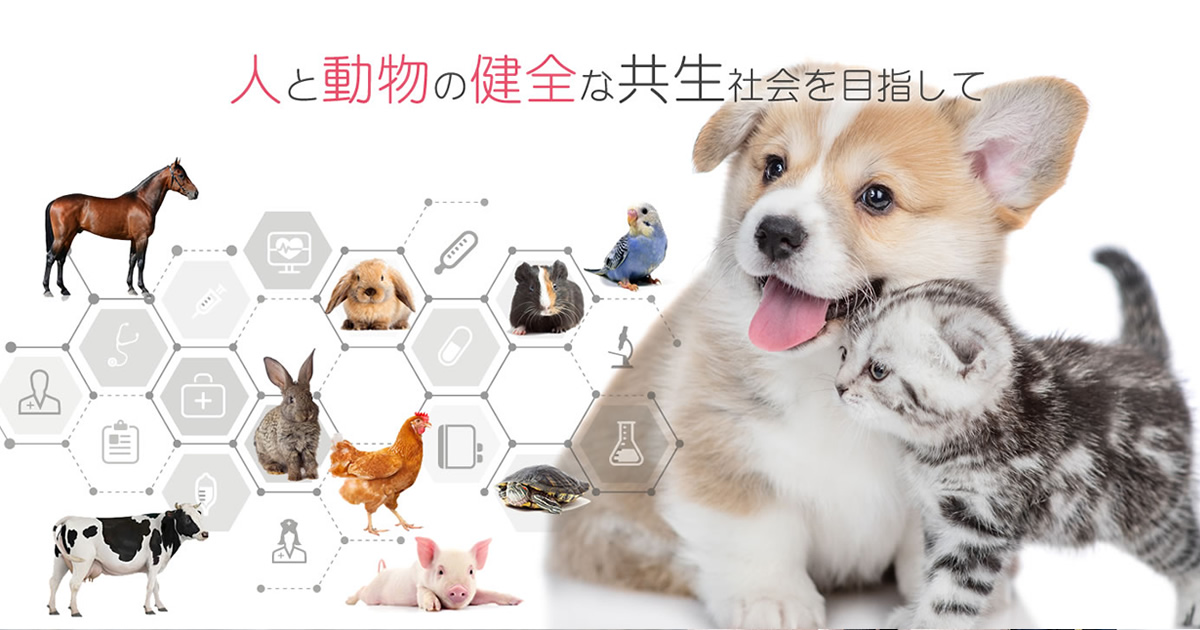 夜間当番動物病院（香川県獣医師会）