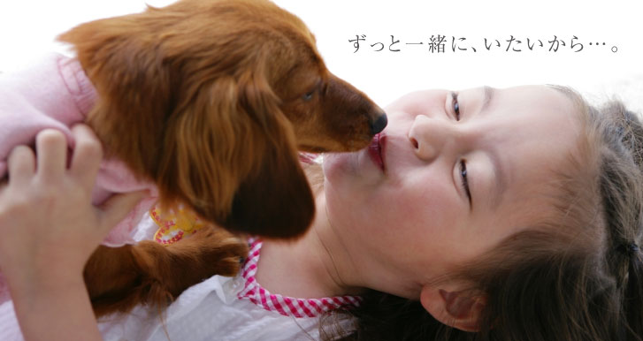 メイプル動物病院　併設　京都犬猫整形外科センター