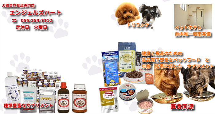 エンジェルズハート