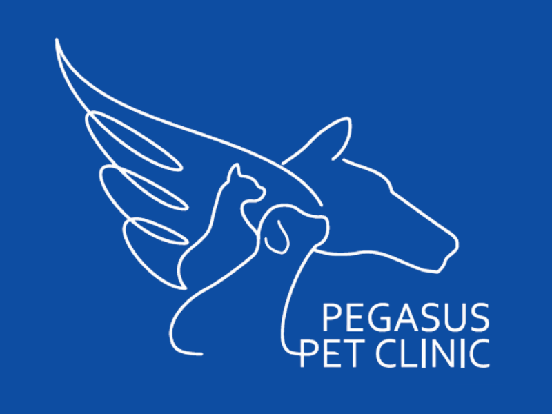 ペガサスペットクリニック