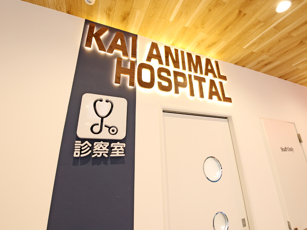 海動物病院　木更津往診所