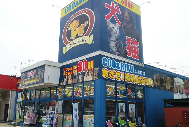 海動物病院　大牟田往診所