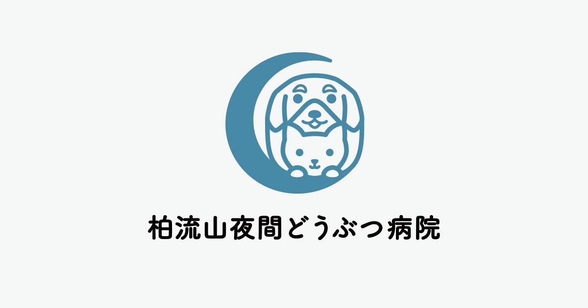 柏流山夜間どうぶつ病院