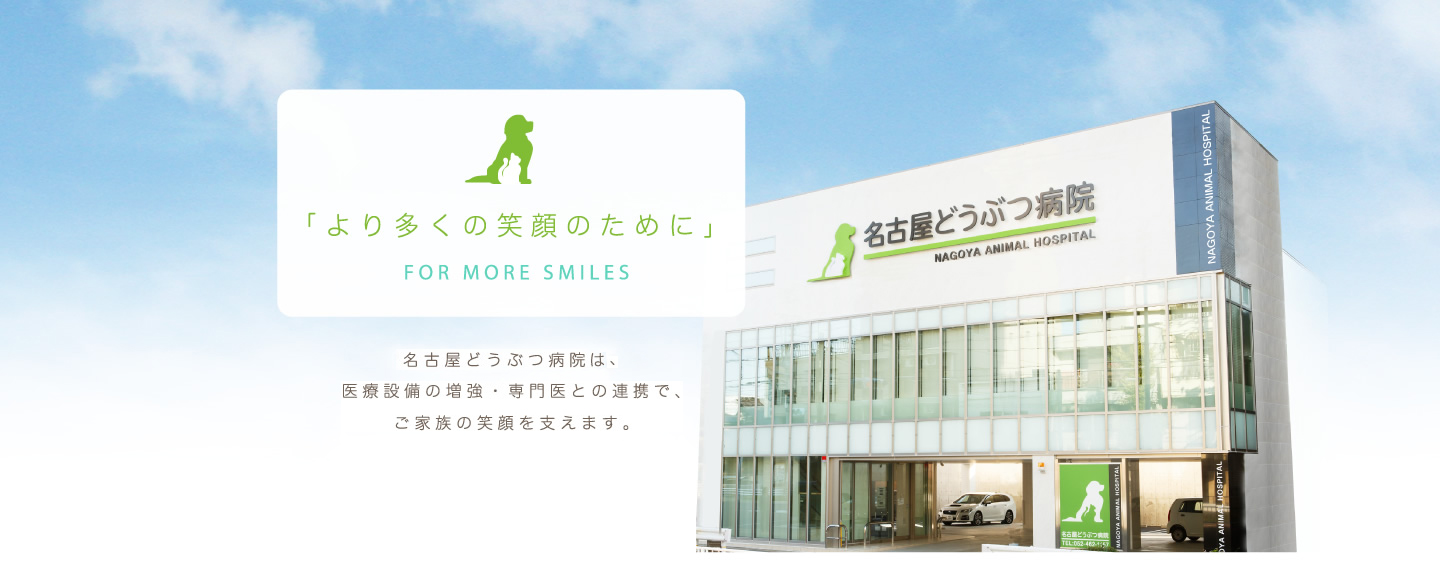 名古屋どうぶつ病院
