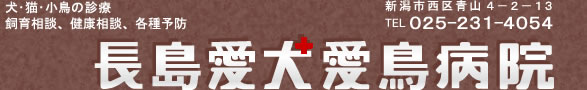 長島愛犬愛鳥病院