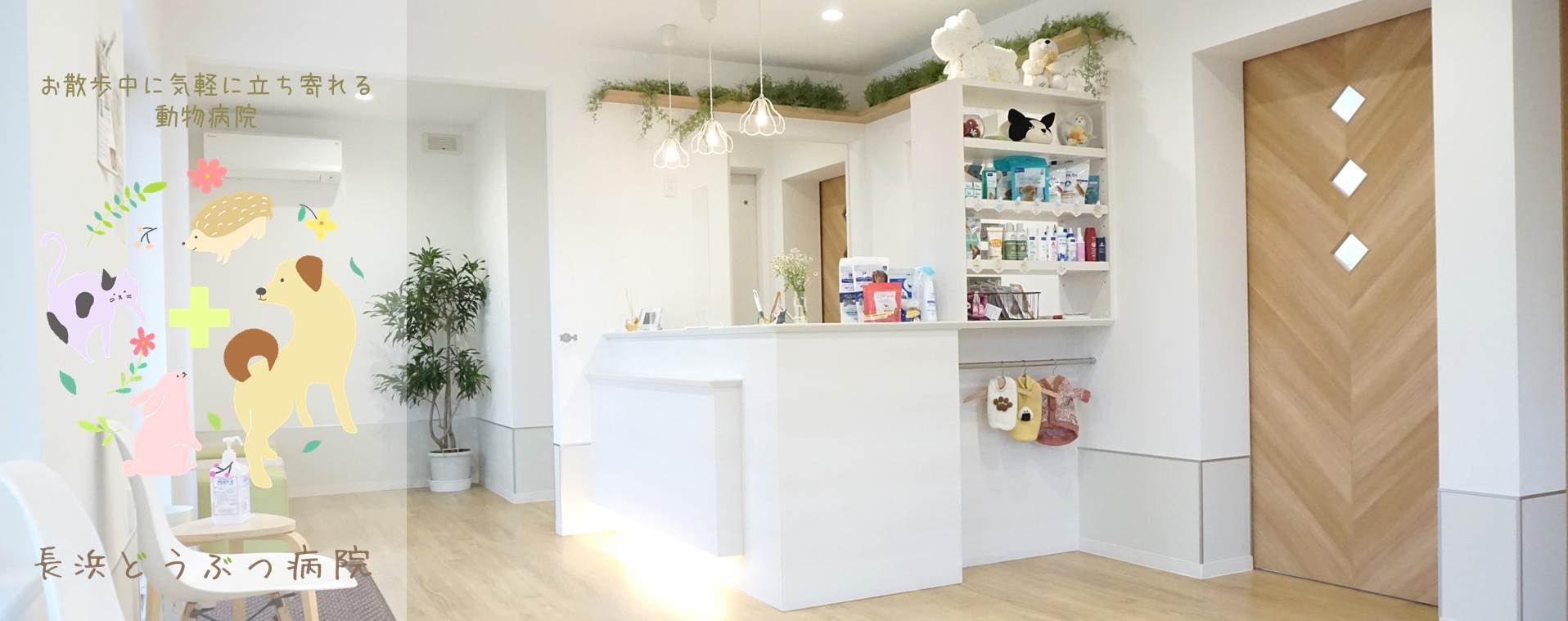 長浜どうぶつ病院