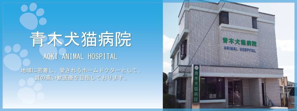 青木犬猫病院