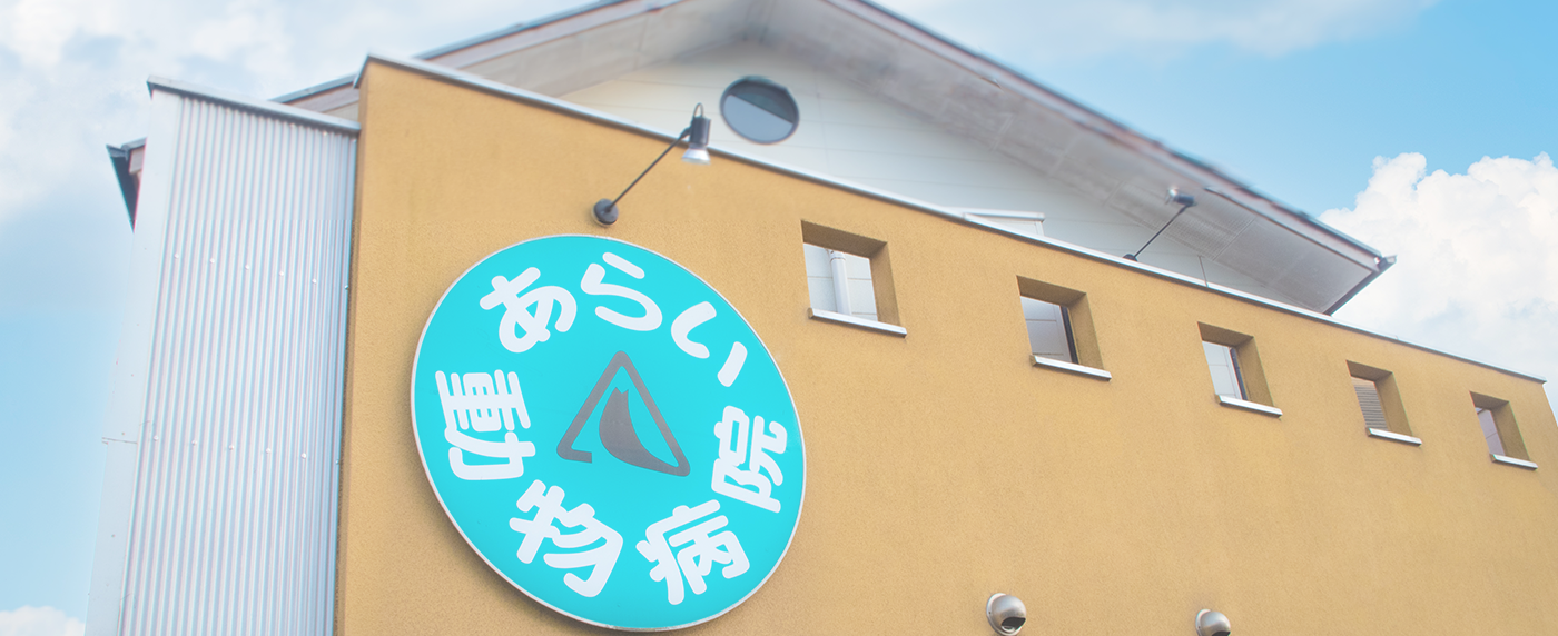 あらい動物病院