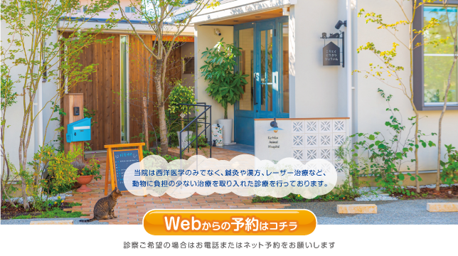 こうとく動物病院