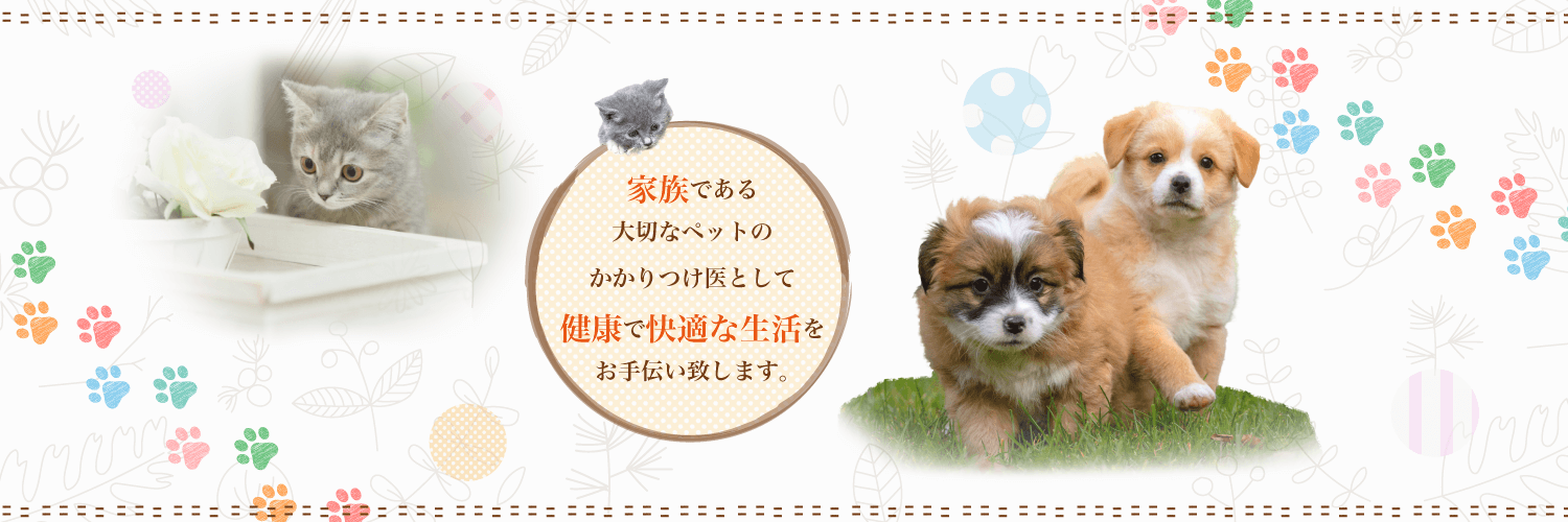 群馬町中央動物病院