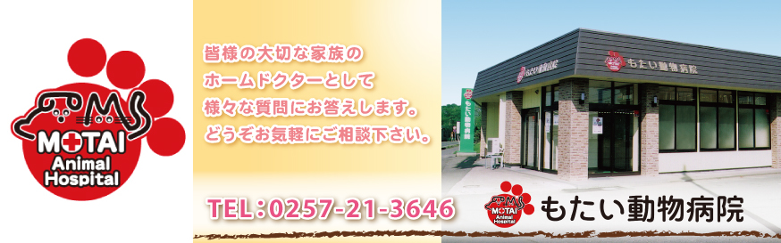 もたい動物病院