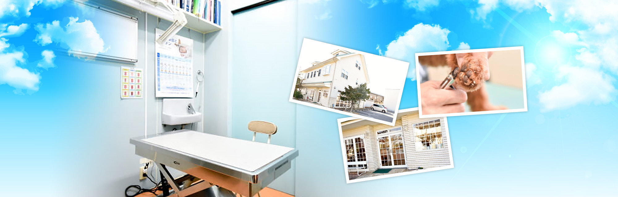 あい総合動物病院