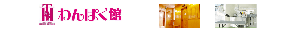 みむら動物病院