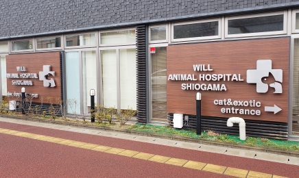 ウィル動物病院塩釜病院