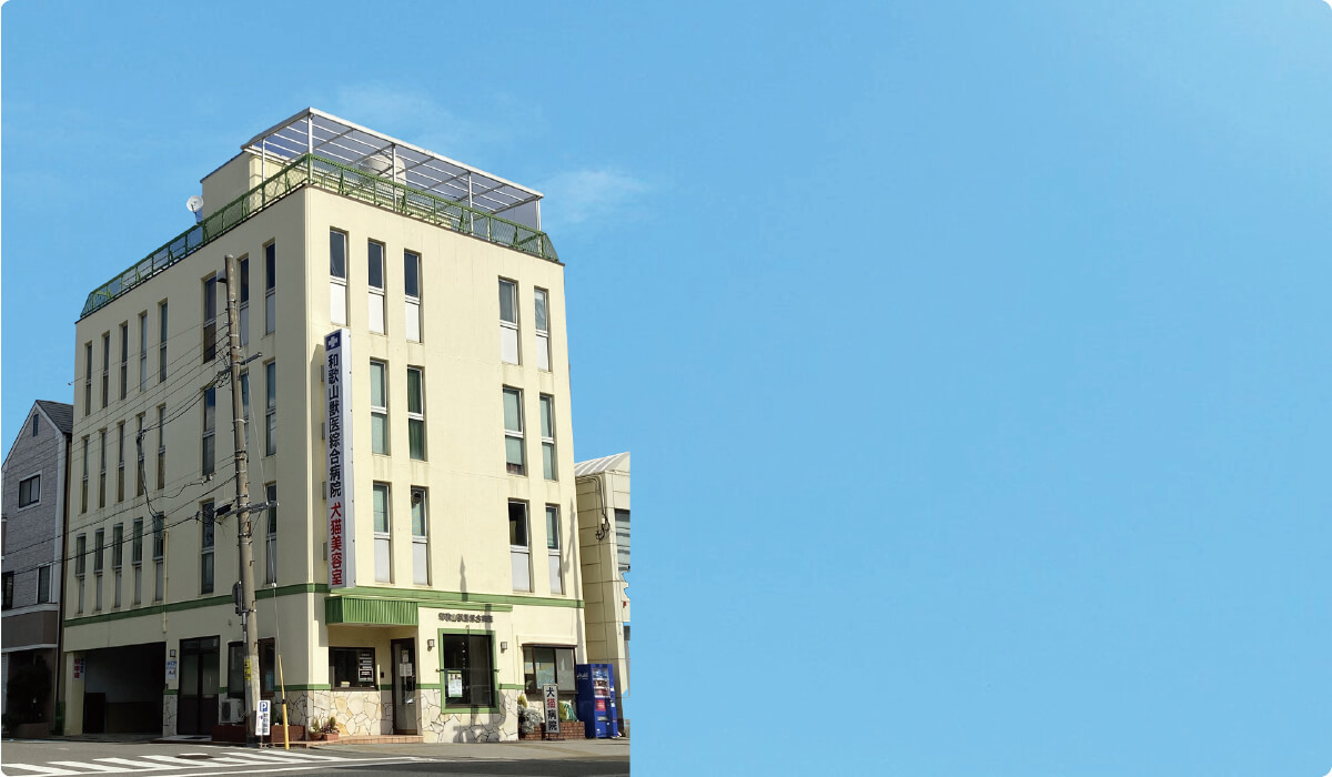 和歌山獣医綜合病院