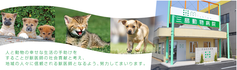三島動物病院