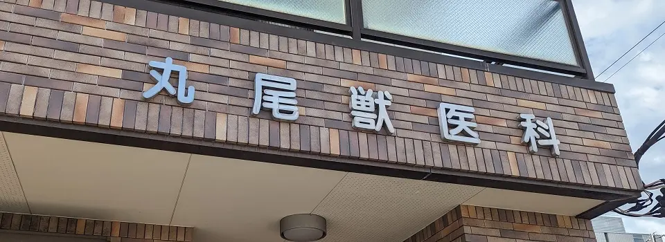 丸尾獣医科診療所