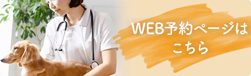 鈴木どうぶつ病院