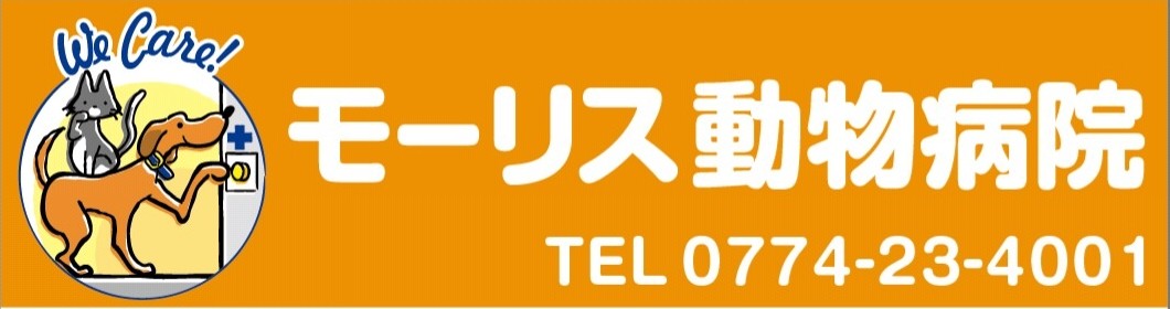 モーリス動物病院