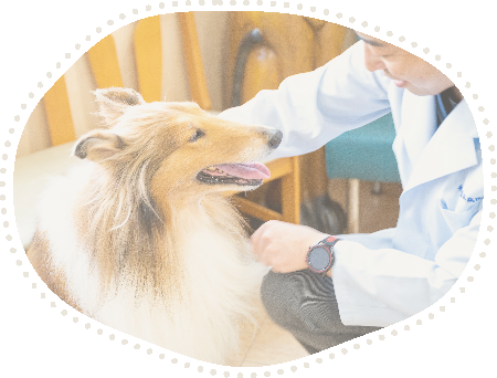 林獣医科病院(南島田診療所)