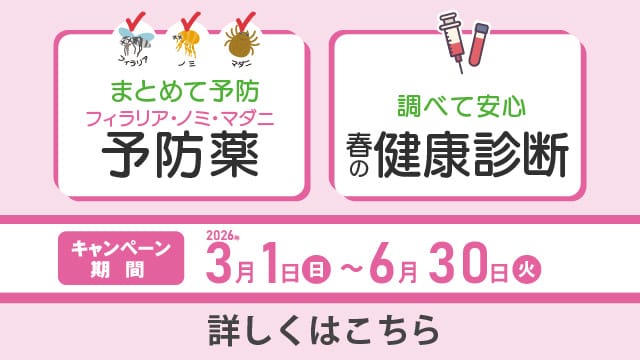 四条からすま動物病院